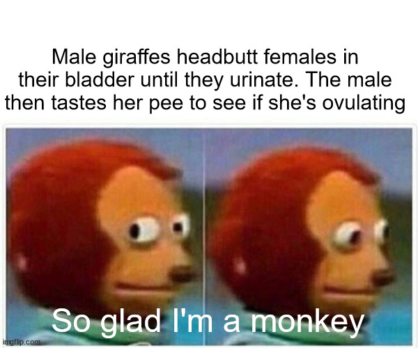 Monkey Puppet | Male giraffes headbutt females in their bladder until they urinate. The male then tastes her pee to see if she's ovulating; So glad I'm a monkey | image tagged in monkey puppet | made w/ Imgflip meme maker