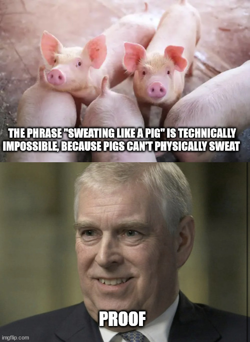 THE PHRASE "SWEATING LIKE A PIG" IS TECHNICALLY IMPOSSIBLE, BECAUSE PIGS CAN'T PHYSICALLY SWEAT; PROOF | image tagged in prince andrew,pigs | made w/ Imgflip meme maker