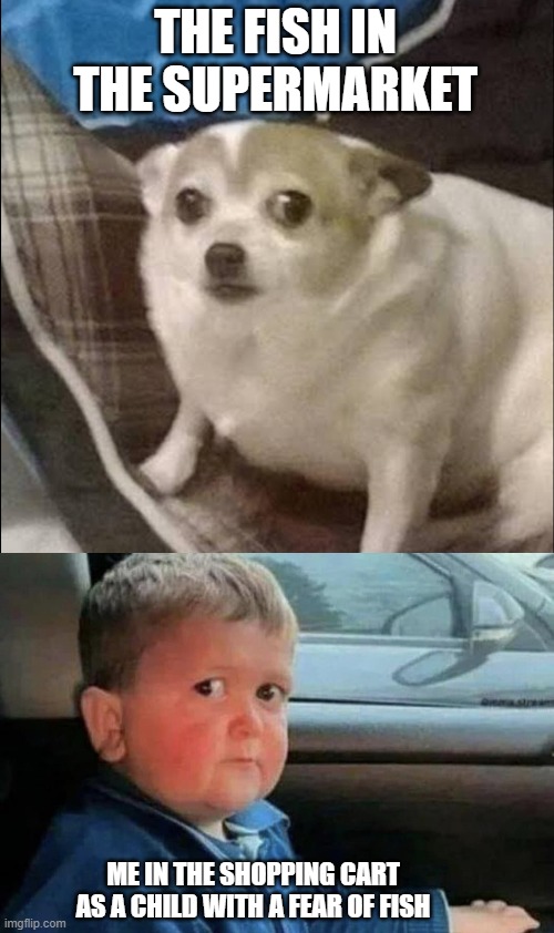 FISHY FEAR | THE FISH IN THE SUPERMARKET; ME IN THE SHOPPING CART AS A CHILD WITH A FEAR OF FISH | image tagged in scared puppy,scared kid car,meme | made w/ Imgflip meme maker
