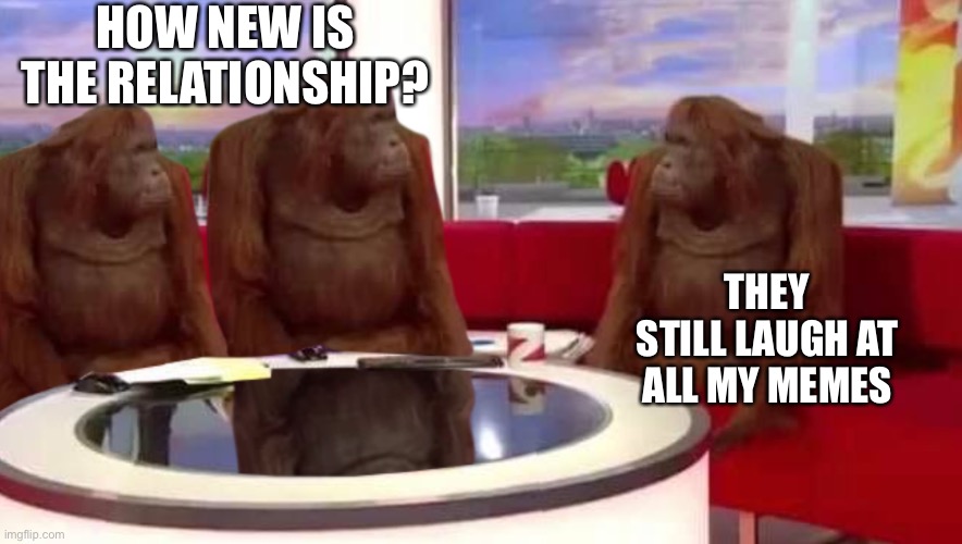 New relationship |  HOW NEW IS THE RELATIONSHIP? THEY STILL LAUGH AT ALL MY MEMES | image tagged in where monkey | made w/ Imgflip meme maker