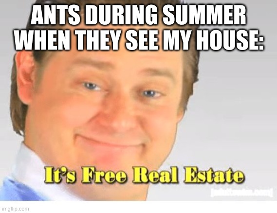 It's really hot now, ants are all of the place |  ANTS DURING SUMMER WHEN THEY SEE MY HOUSE: | image tagged in it's free real estate,memes | made w/ Imgflip meme maker