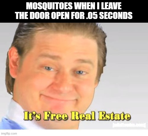 It's Free Real Estate | MOSQUITOES WHEN I LEAVE THE DOOR OPEN FOR .05 SECONDS | image tagged in it's free real estate | made w/ Imgflip meme maker