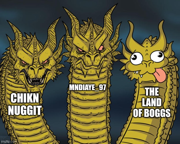 my Tik-Tok tastes in a nutshell | MNDIAYE_97; THE LAND OF BOGGS; CHIKN NUGGIT | image tagged in three-headed dragon | made w/ Imgflip meme maker