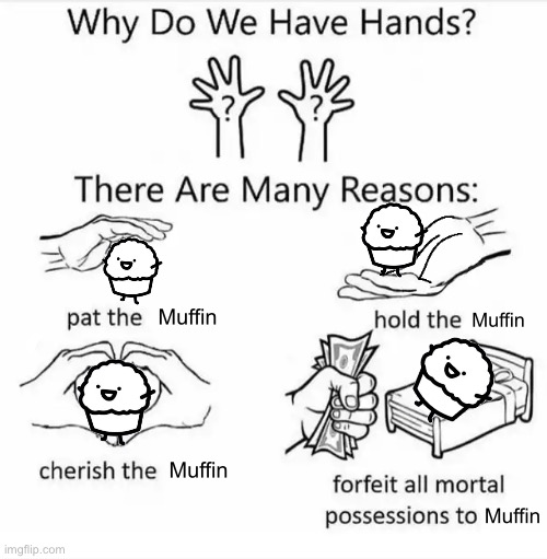 Why do we have hands? (all blank) | Muffin; Muffin; Muffin; Muffin | image tagged in why do we have hands all blank | made w/ Imgflip meme maker
