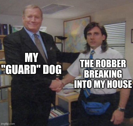 the office congratulations | MY "GUARD" DOG; THE ROBBER BREAKING INTO MY HOUSE | image tagged in the office congratulations | made w/ Imgflip meme maker