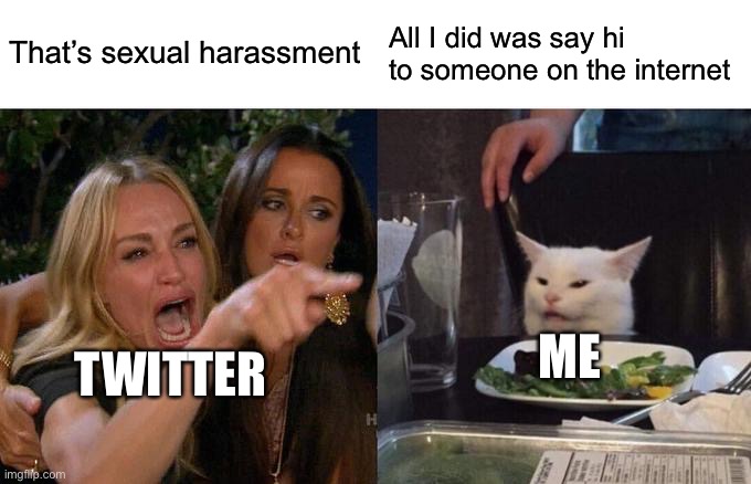 Woman Yelling At Cat Meme | That’s sexual harassment; All I did was say hi to someone on the internet; ME; TWITTER | image tagged in memes,woman yelling at cat | made w/ Imgflip meme maker