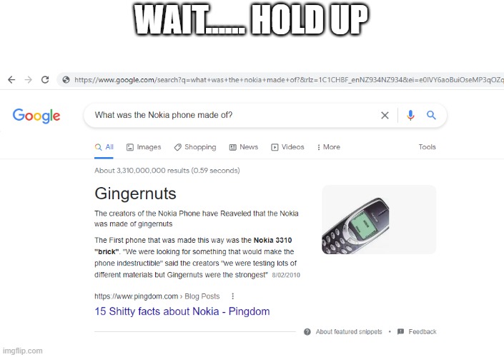 I KNEW IT ALL ALONG!!!!!!!! | WAIT...... HOLD UP | image tagged in nokia 3310,funny memes | made w/ Imgflip meme maker