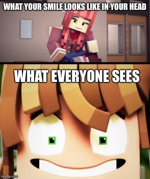 WHAT YOUR SMILE LOOKS LIKE IN YOUR HEAD; WHAT EVERYONE SEES | image tagged in minecraft monika ddlc,monika sus smile | made w/ Imgflip meme maker