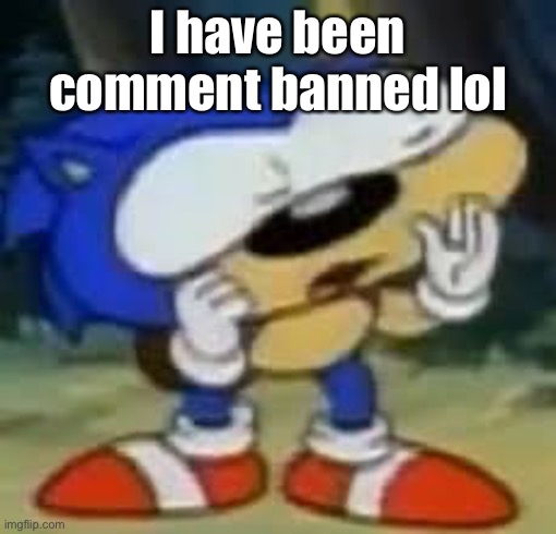 sonic huh? | I have been comment banned lol | image tagged in sonic huh | made w/ Imgflip meme maker