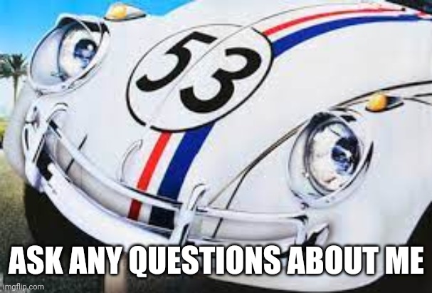 smug herbie | ASK ANY QUESTIONS ABOUT ME | image tagged in smug herbie | made w/ Imgflip meme maker