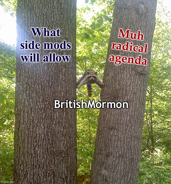 Man I feel for this racoon rn | What side mods will allow; Muh radical agenda; BritishMormon | image tagged in raccoon between trees fixed textboxes,britishmormon,site mods,radical,agenda,spare a thought for the children | made w/ Imgflip meme maker