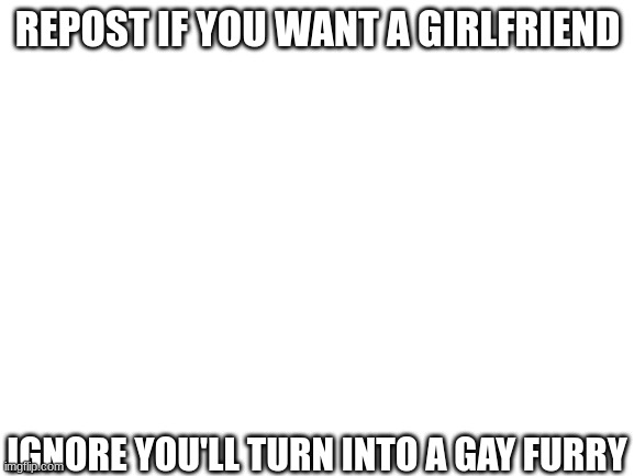 Blank White Template | REPOST IF YOU WANT A GIRLFRIEND; IGNORE YOU'LL TURN INTO A GAY FURRY | image tagged in blank white template | made w/ Imgflip meme maker