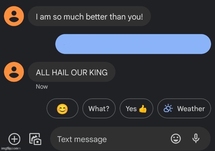 All hail our new king | image tagged in all hail our new king | made w/ Imgflip meme maker
