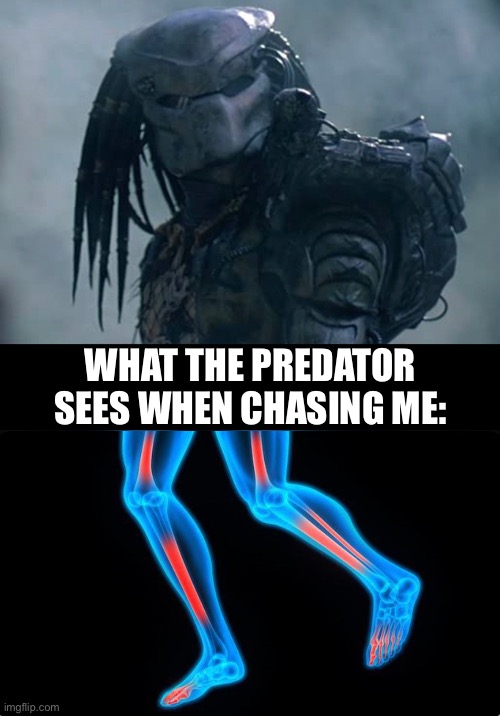 Predator Night Vision | WHAT THE PREDATOR SEES WHEN CHASING ME: | image tagged in predator,night vision,leg pain,silly meme,ouch | made w/ Imgflip meme maker