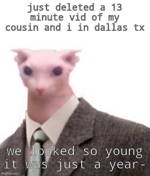 H | just deleted a 13 minute vid of my cousin and i in dallas tx; we looked so young it was just a year- | image tagged in bingus | made w/ Imgflip meme maker