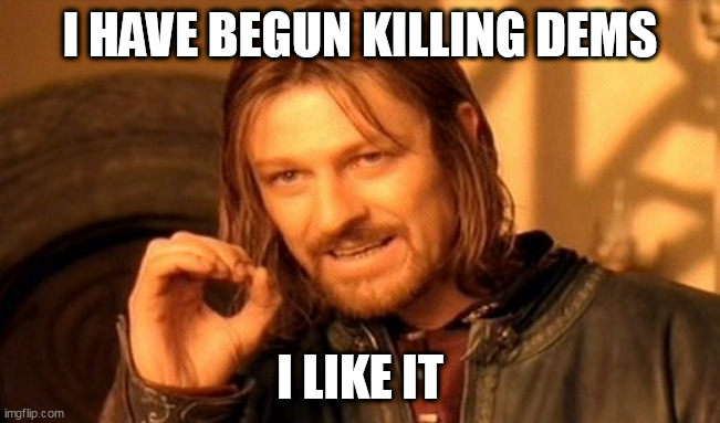 One Does Not Simply | I HAVE BEGUN KILLING DEMS; I LIKE IT | image tagged in memes,one does not simply | made w/ Imgflip meme maker