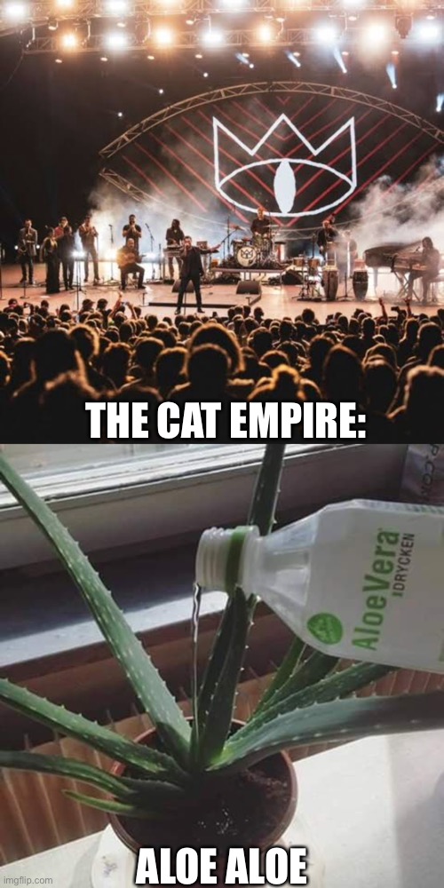 Hello (The Cat Empire) | THE CAT EMPIRE:; ALOE ALOE | image tagged in aloe,hello,music | made w/ Imgflip meme maker