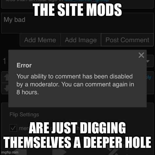 THE SITE MODS; ARE JUST DIGGING THEMSELVES A DEEPER HOLE | image tagged in rebel | made w/ Imgflip meme maker