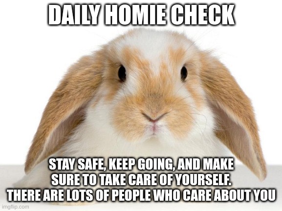 stay safe everyone! | DAILY HOMIE CHECK; STAY SAFE, KEEP GOING, AND MAKE SURE TO TAKE CARE OF YOURSELF. THERE ARE LOTS OF PEOPLE WHO CARE ABOUT YOU | image tagged in bunny,homie check | made w/ Imgflip meme maker