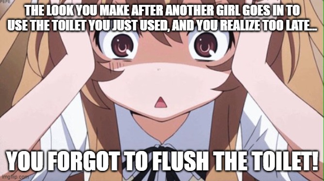 Surprise, Surprise! | THE LOOK YOU MAKE AFTER ANOTHER GIRL GOES IN TO USE THE TOILET YOU JUST USED, AND YOU REALIZE TOO LATE... YOU FORGOT TO FLUSH THE TOILET! | image tagged in anime realization,memes,bathrooms,bathroom humor,toilets,dark humor | made w/ Imgflip meme maker