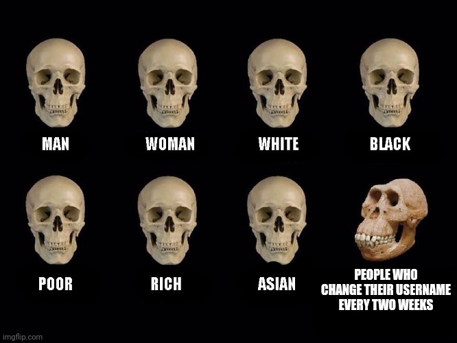 I have friends that do this, it's so annoying | PEOPLE WHO CHANGE THEIR USERNAME EVERY TWO WEEKS | image tagged in empty skulls of truth | made w/ Imgflip meme maker
