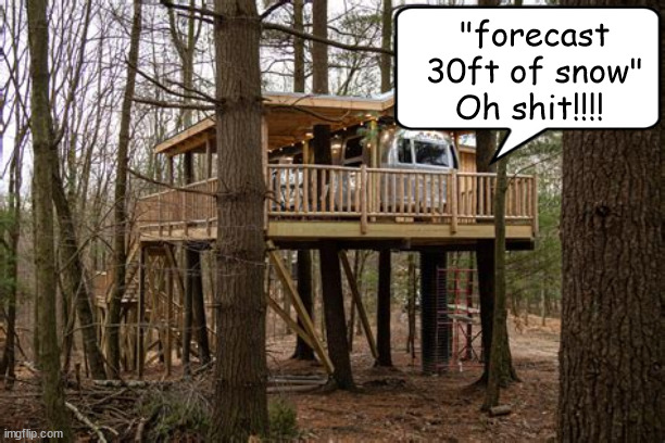 30 foot? | "forecast 30ft of snow"
Oh shit!!!! | image tagged in snow,climate change,treehouse,forcast,death | made w/ Imgflip meme maker