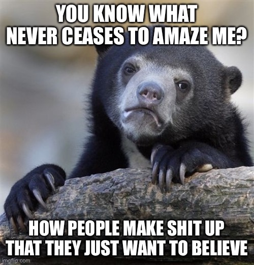 Confession Bear Meme Imgflip