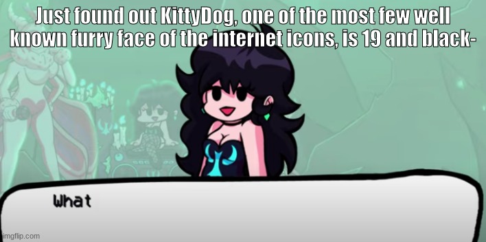 GuH!? | Just found out KittyDog, one of the most few well known furry face of the internet icons, is 19 and black- | image tagged in retro gf what | made w/ Imgflip meme maker