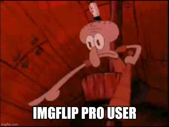 Squidward pointing | IMGFLIP PRO USER | image tagged in squidward pointing | made w/ Imgflip meme maker