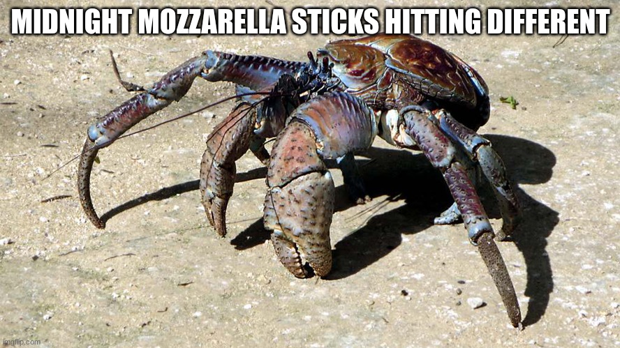 Coconut Crab | MIDNIGHT MOZZARELLA STICKS HITTING DIFFERENT | image tagged in coconut crab | made w/ Imgflip meme maker