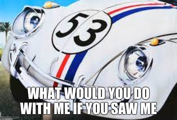 smug herbie | WHAT WOULD YOU DO WITH ME IF YOU SAW ME | image tagged in smug herbie | made w/ Imgflip meme maker