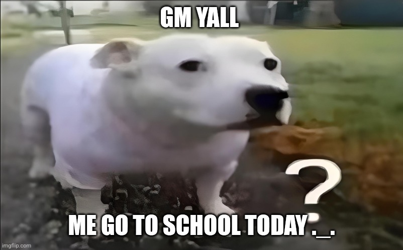 Huh Dog | GM YALL; ME GO TO SCHOOL TODAY ._. | image tagged in huh dog | made w/ Imgflip meme maker