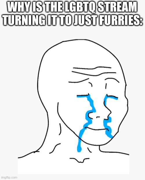 (No offence) |  WHY IS THE LGBTQ STREAM TURNING IT TO JUST FURRIES: | image tagged in furries,lgbtq,cry | made w/ Imgflip meme maker