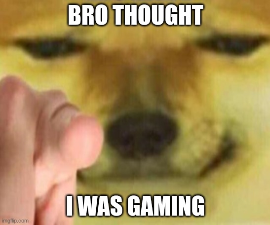 Cheems Pointing At You | BRO THOUGHT; I WAS GAMING | image tagged in cheems pointing at you | made w/ Imgflip meme maker