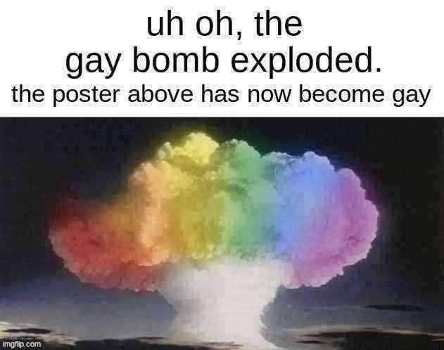 You're Gay | image tagged in gay bomb | made w/ Imgflip meme maker