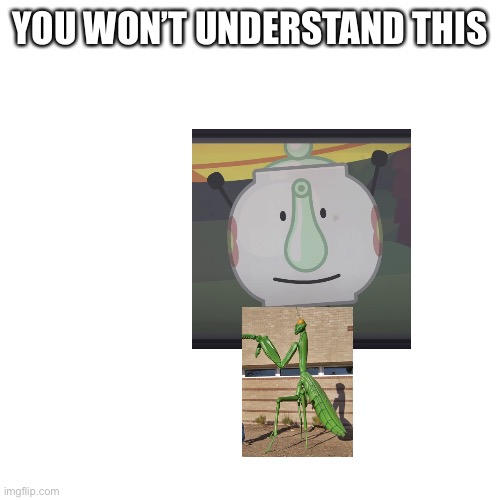 No one will understand this | YOU WON’T UNDERSTAND THIS | image tagged in memes,blank transparent square | made w/ Imgflip meme maker