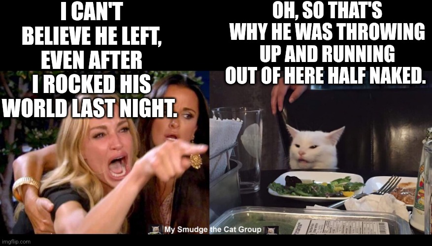 I CAN'T BELIEVE HE LEFT, EVEN AFTER I ROCKED HIS WORLD LAST NIGHT. OH, SO THAT'S WHY HE WAS THROWING UP AND RUNNING OUT OF HERE HALF NAKED. | image tagged in smudge the cat | made w/ Imgflip meme maker