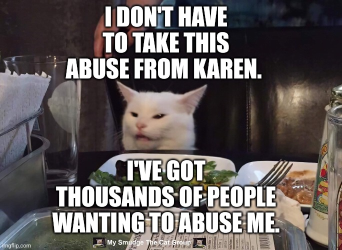 I DON'T HAVE TO TAKE THIS ABUSE FROM KAREN. I'VE GOT THOUSANDS OF PEOPLE WANTING TO ABUSE ME. | image tagged in smudge the cat | made w/ Imgflip meme maker