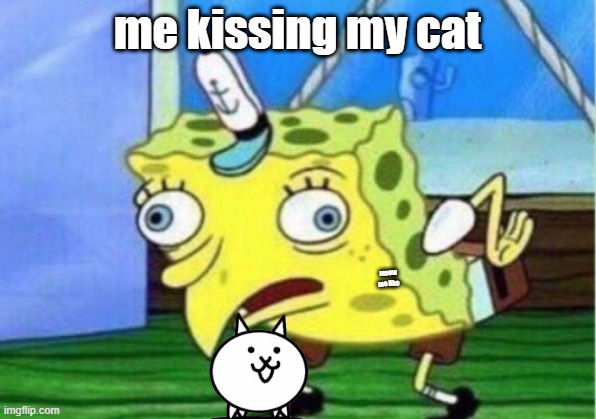 kiss cat | me kissing my cat; meow
me like | image tagged in memes,mocking spongebob,cats | made w/ Imgflip meme maker