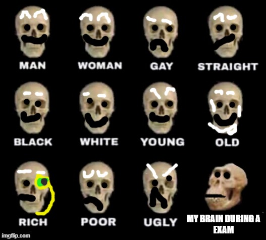 pick one. skull or exam | MY BRAIN DURING A
EXAM | image tagged in idiot skull | made w/ Imgflip meme maker