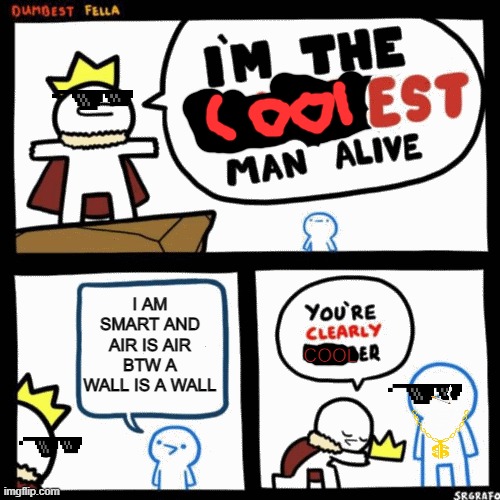 WHO IS COOLER? | I AM SMART AND AIR IS AIR BTW A WALL IS A WALL; COOL | image tagged in i'm the dumbest man alive | made w/ Imgflip meme maker