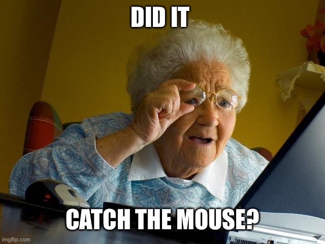 Grandma Finds The Internet Meme | DID IT CATCH THE MOUSE? | image tagged in memes,grandma finds the internet | made w/ Imgflip meme maker