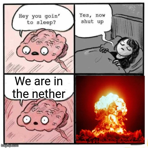 Hey you going to sleep? | We are in the nether | image tagged in hey you going to sleep,minecraft,funny,memes | made w/ Imgflip meme maker