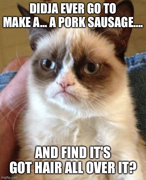 A question | DIDJA EVER GO TO MAKE A... A PORK SAUSAGE…. AND FIND IT'S GOT HAIR ALL OVER IT? | image tagged in memes,grumpy cat,dead milkmen,pork sausage,cat | made w/ Imgflip meme maker