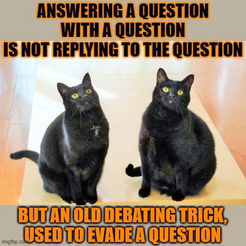 this #lolcat wonders why some refuse to answer a straight question | ANSWERING A QUESTION
WITH A QUESTION
IS NOT REPLYING TO THE QUESTION; BUT AN OLD DEBATING TRICK,
USED TO EVADE A QUESTION | image tagged in think about it,lolcats,debates,fallacy | made w/ Imgflip meme maker