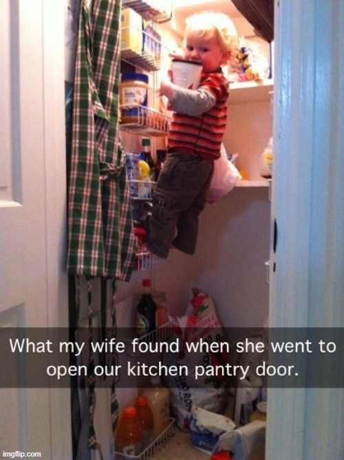 image tagged in memes | made w/ Imgflip meme maker