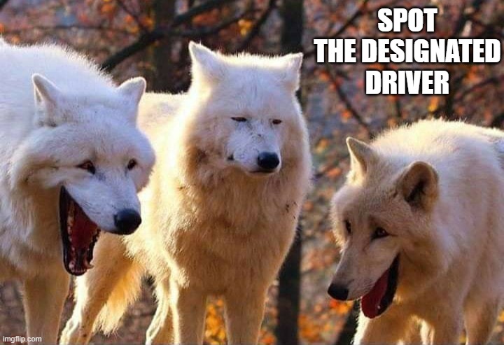 Laughing wolf | SPOT THE DESIGNATED DRIVER | image tagged in laughing wolf | made w/ Imgflip meme maker