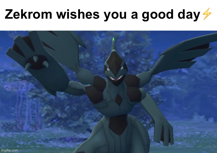 Zekrom wishes you a good day⚡️ | image tagged in pokemon,zekrom,wholesome,wait a second this is wholesome content,wholesome 100 | made w/ Imgflip meme maker