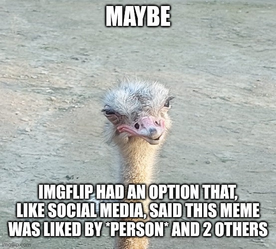 Maybe | MAYBE; IMGFLIP HAD AN OPTION THAT, LIKE SOCIAL MEDIA, SAID THIS MEME WAS LIKED BY *PERSON* AND 2 OTHERS | image tagged in the wut bird | made w/ Imgflip meme maker