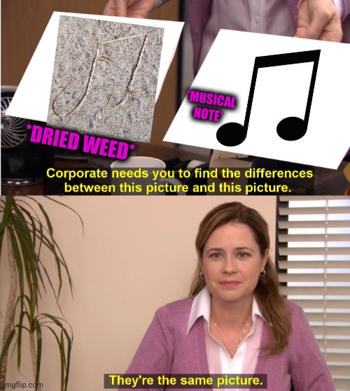 -Sounding plant. | *MUSICAL NOTE*; *DRIED WEED* | image tagged in memes,they're the same picture,holy music stops,smoke weed everyday,totally looks like,brian laundrie | made w/ Imgflip meme maker